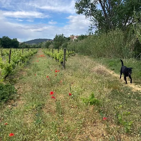 Bijou Benoit 4*